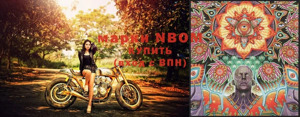 прущая мука Верея