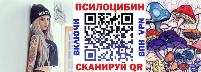 закладка  Евпатория  Псилоцибиновые грибы Psilocybe 